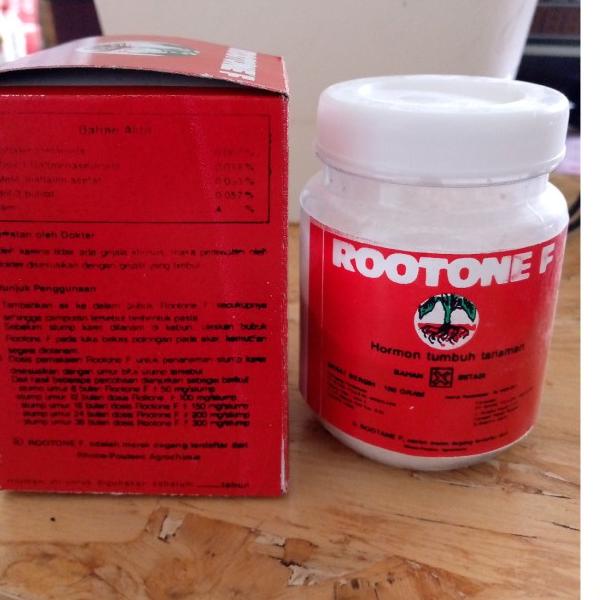 ℮ Rootone F 100 gram - Hormon tumbuh tanaman ←