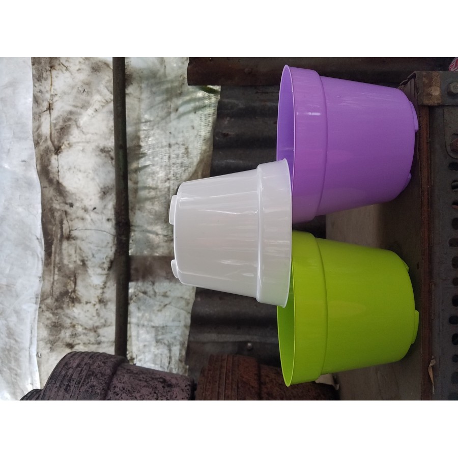 POT BUNGA 20 WARNA -WARNI