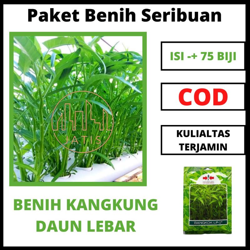 Jual Benih Kangkung Bangkok Bibit Sayuran Seribuan Kangkung Produk Merupakan Repack