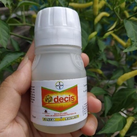 Insektisida Decis 50 ml Mencegah Hama Tanaman Cabai