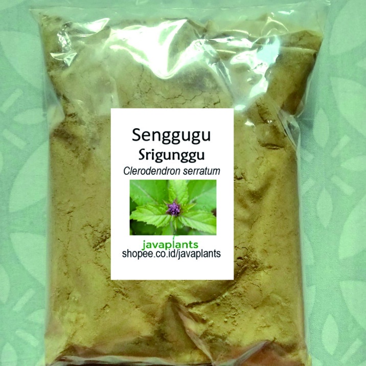 

BUBUK SRIGUNGGU 500 g Serbuk Daun Sirgunggu 100% Murni SENGUGU Ready Stock Sagunggu