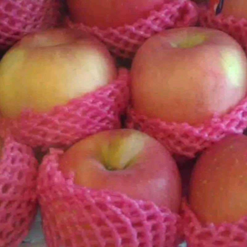 

buah apel Fuji
