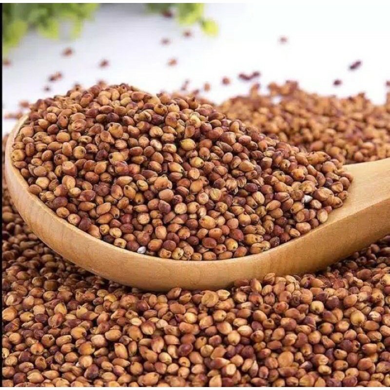 

Beras Sorgum Merah 1kg Gluten Free Bebas gluten