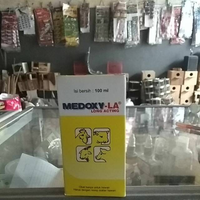 MEDOXY LA 100 ml medion obat infeksi antibiotik ayam sapi kambing