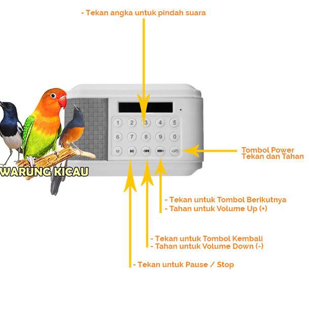 New Masteran Burung Kicau Speaker Audio Full Termurah Semua