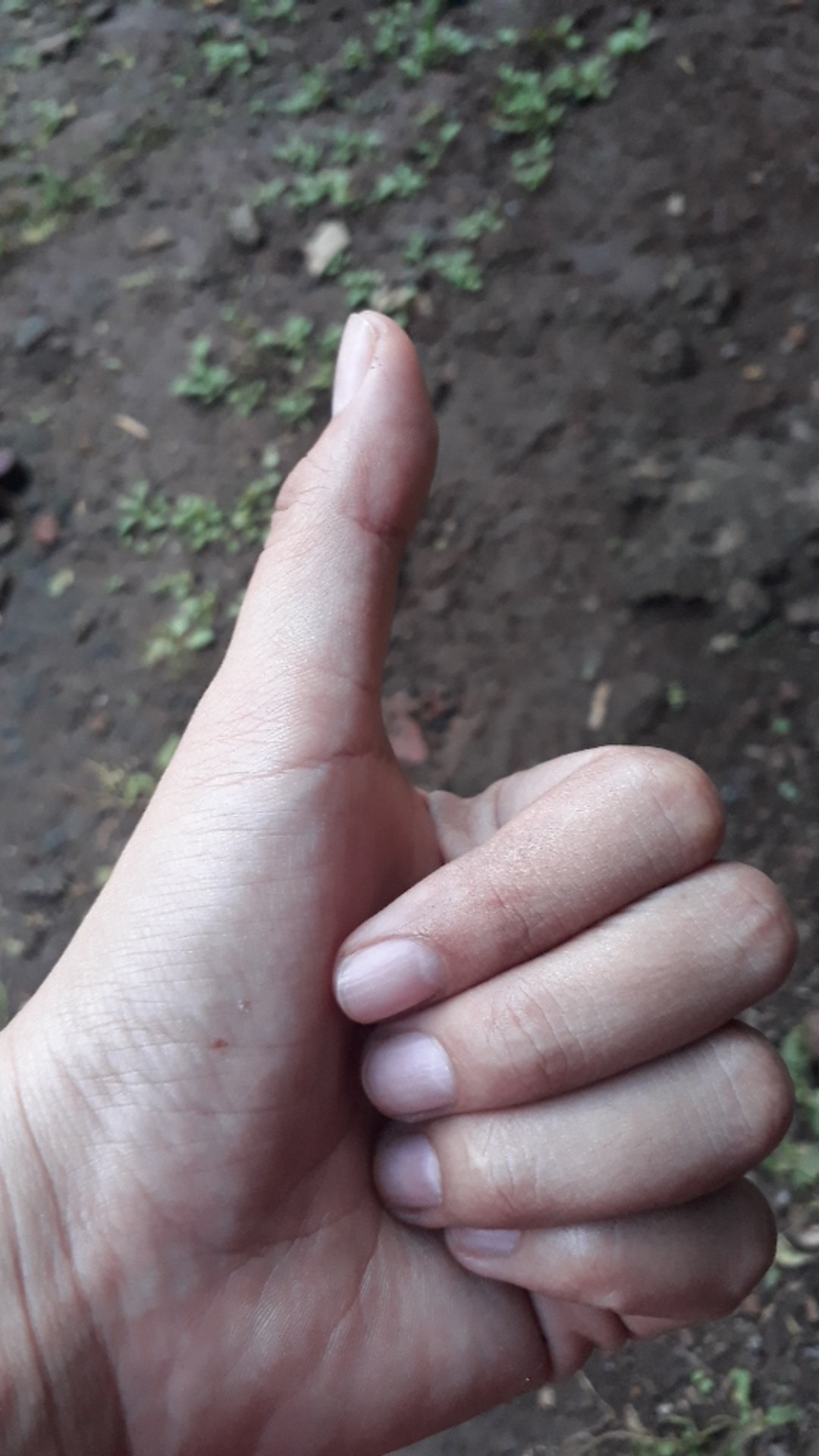 Tey-17 Batik Wanita Asj Sa Hrb026 Kenongo Kemeja Tosca Pendek