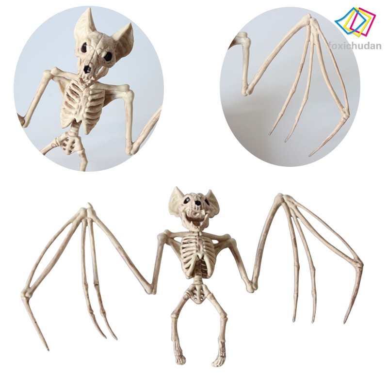 Gambar Kerangka Hewan Katak Gambar Kata Gambar Kerangka Hewan Katak Gambar Kata