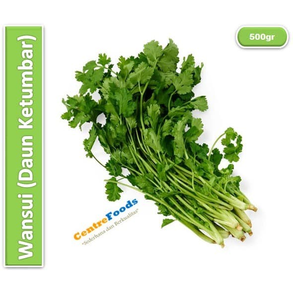 

Daun Ketumbar Segar - Daun Wansui Fresh | 500gr [ Harga Per 0,5 Kg ]