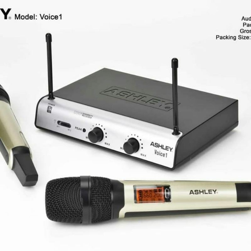 Mic Wireless ASHLEY PRO VOICE 1