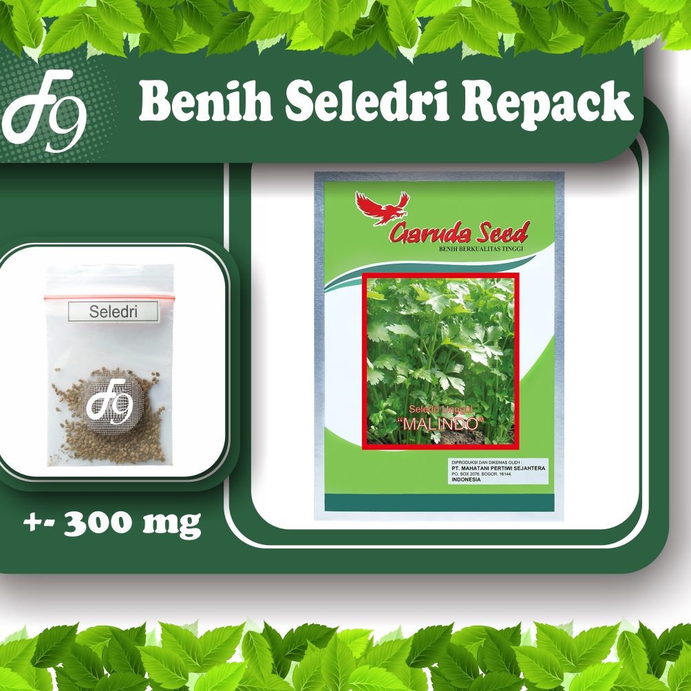 Benih Bibit Sayuran Seledri Murah Repack Seribuan