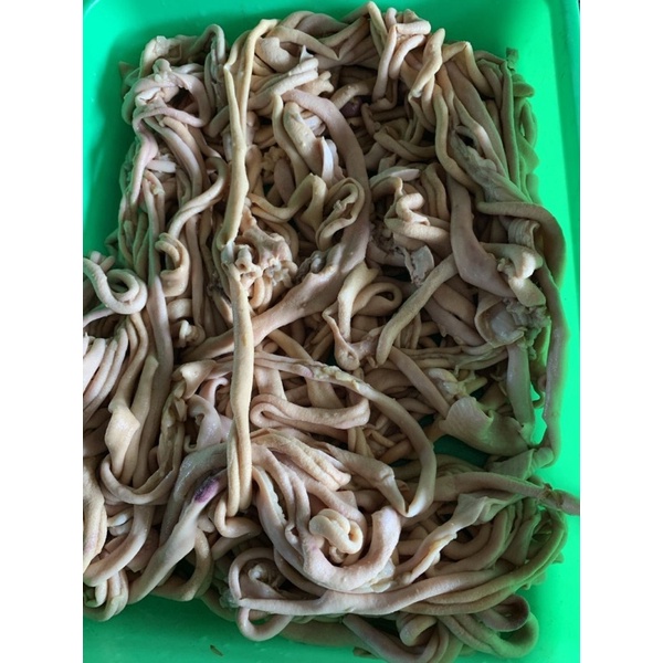 

usus ayam fresh