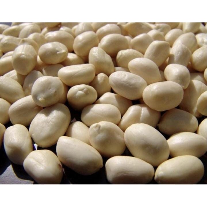 Kacang Tanah Mentah 1 Kg  Kacang Tanah Kupas Super Ukuran Besar