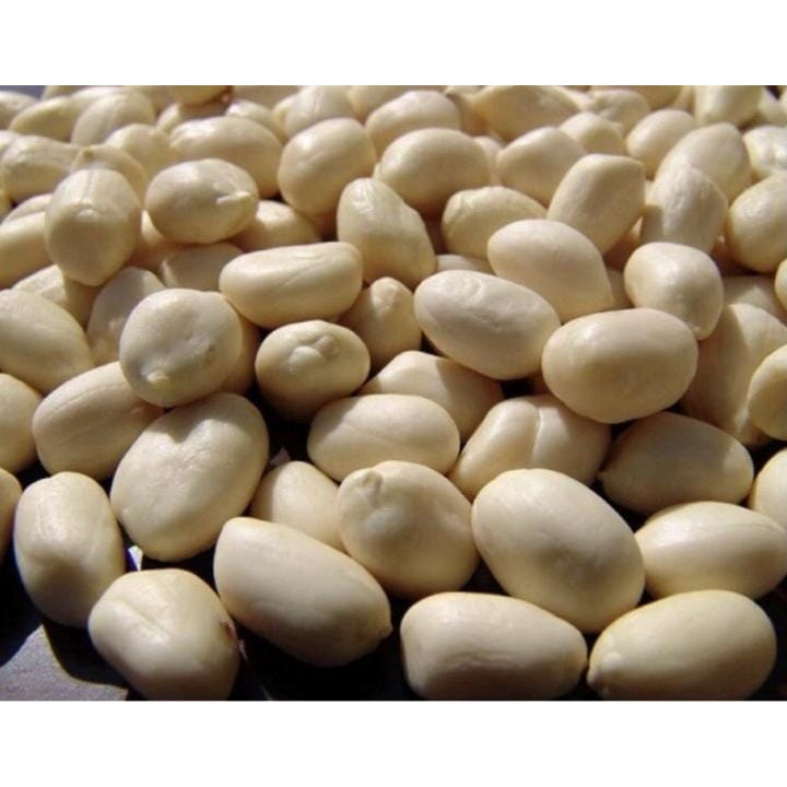 

Kacang Tanah Mentah 1 Kg Kacang Tanah Kupas Super Ukuran Besar