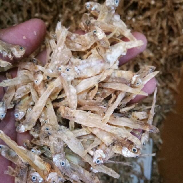 

Teri Tawar Bunga 1kg