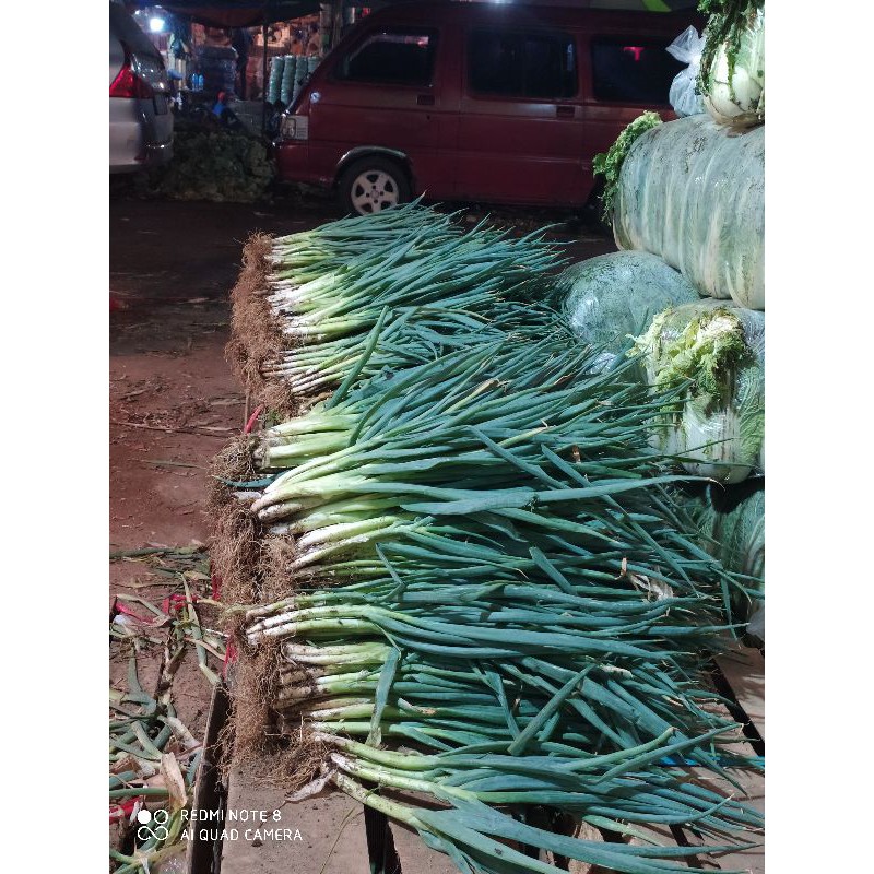 

Daun bawang fresh 500gr