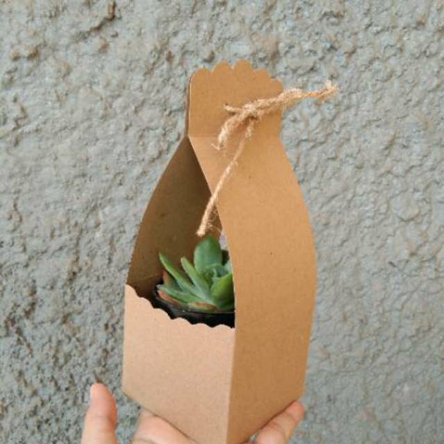 

Ashadewi Gayatri - Box Cactus / Souvernir Tanaman / Souvernir Kaktus / Cactus / Sukulen / Tanaman (8x8x16cm) KRAFT