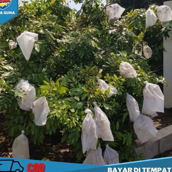 [KODE PRODUK VHI8445] kantong pembungkus buah jambu air Fruit Cover Ukuran XL 30 x 40 cm