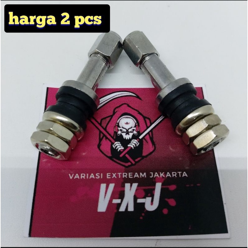 2 pcs Pentil Tubeless stanlis Besi Panjang matic dan bebek