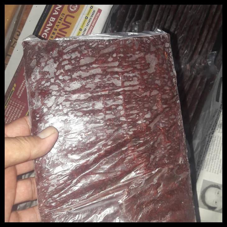 Cacing Beku /Bloodworm