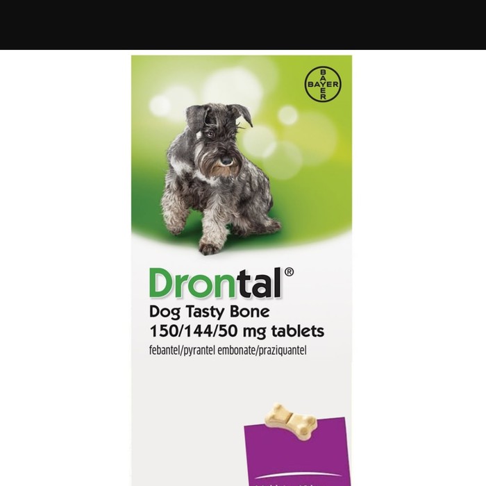 Drontal Dog Plus Tasty Shopee Indonesia