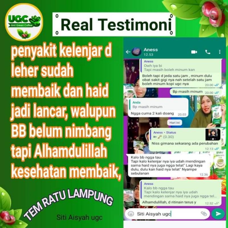 umi green coffee original