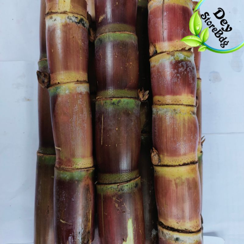 

jual tebu merah asli manis paket 1 kg