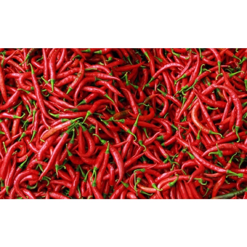 

CABE MERAH GUNUNG 1 kg