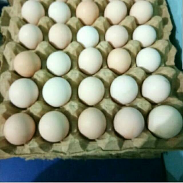 

Telur ayam kampung / Asli peliharaan sendiri / 1 papan