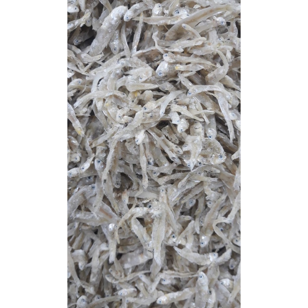 

Teri nilon 500 gram