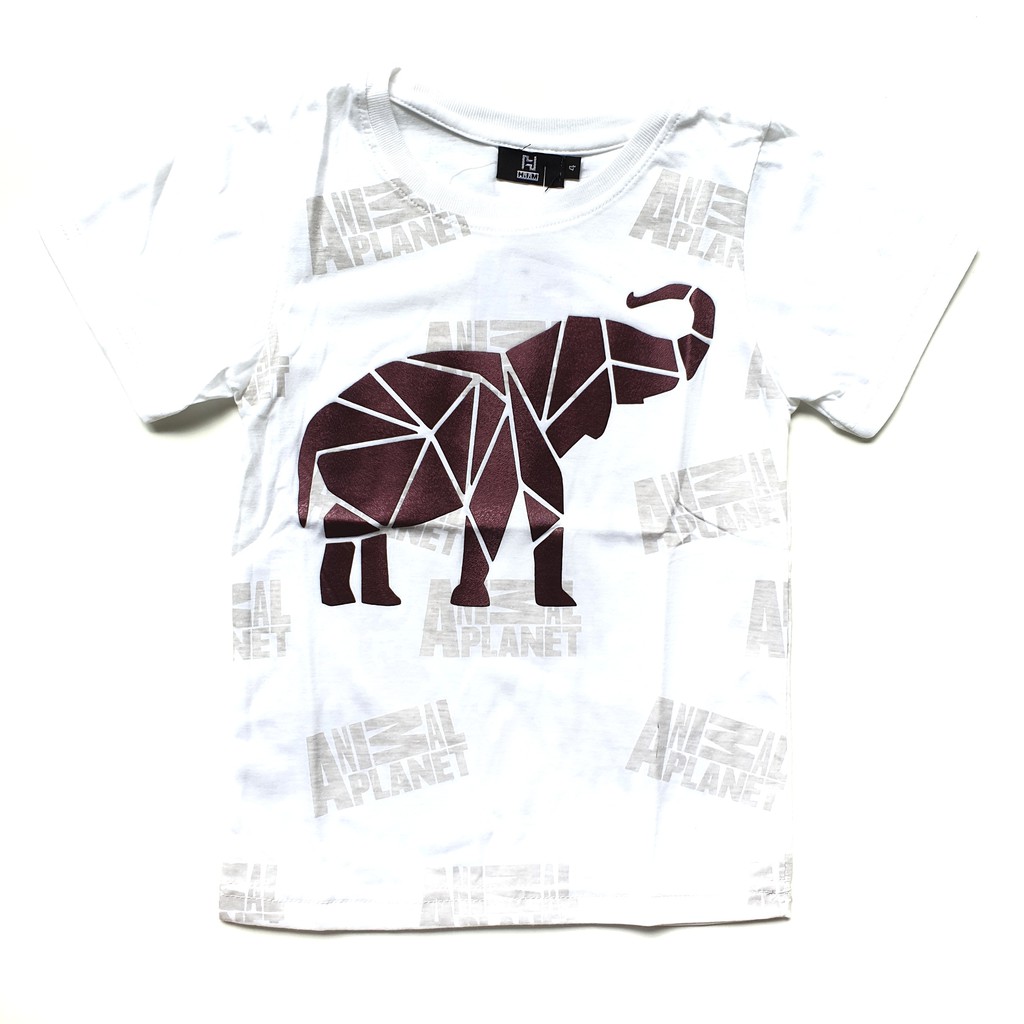 Kaos Anak Laki Fashion TYRANNOSAURUS ANIMAL PLANET (2 warna)