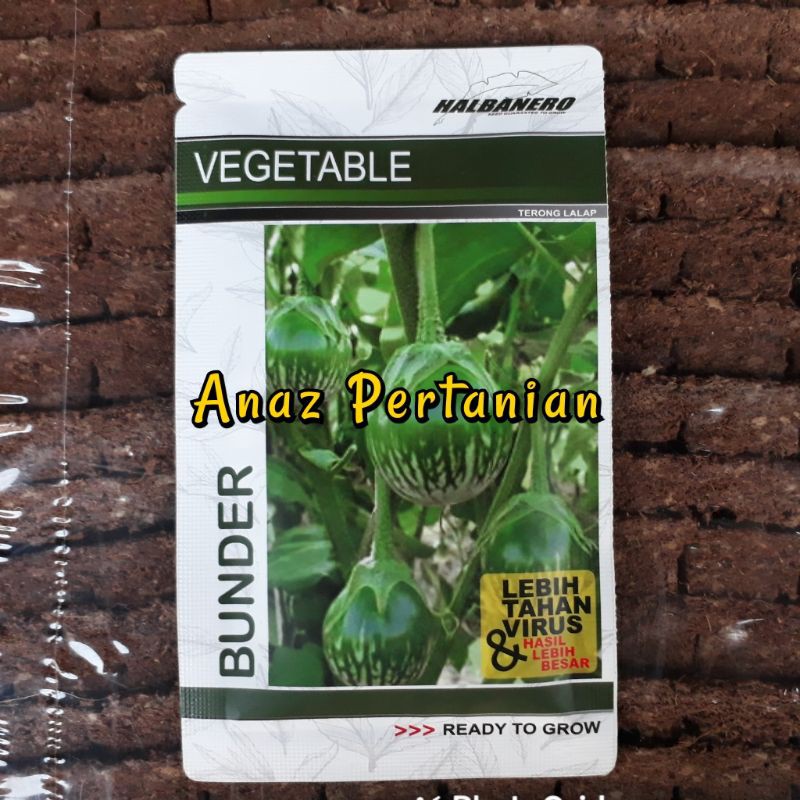 Benih Terong Lalap BUNDER 10 Gram Halbanero