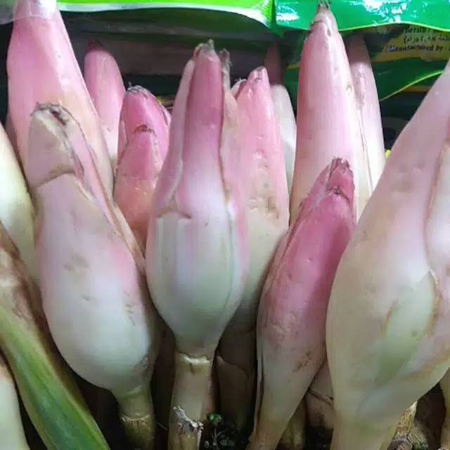 

RB Kincung /kecombrang ,berat 1kg