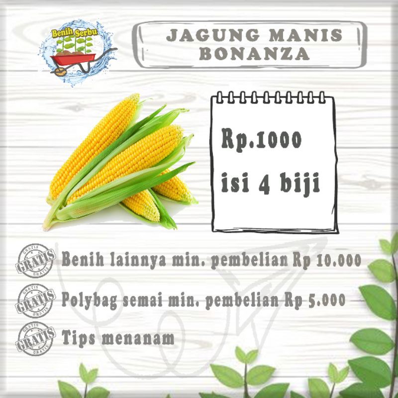 4 Biji Benih Jagung Manis Bonanza Repack