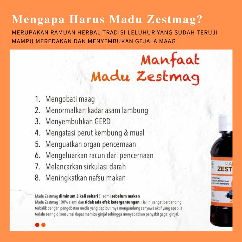 (BISA COD) MADU ZESTMAG ASLI MADU ZESTMAGH MADU ZETMAG MADU ZETSMAG MADU ZESMAG MADU ZESTMAAG