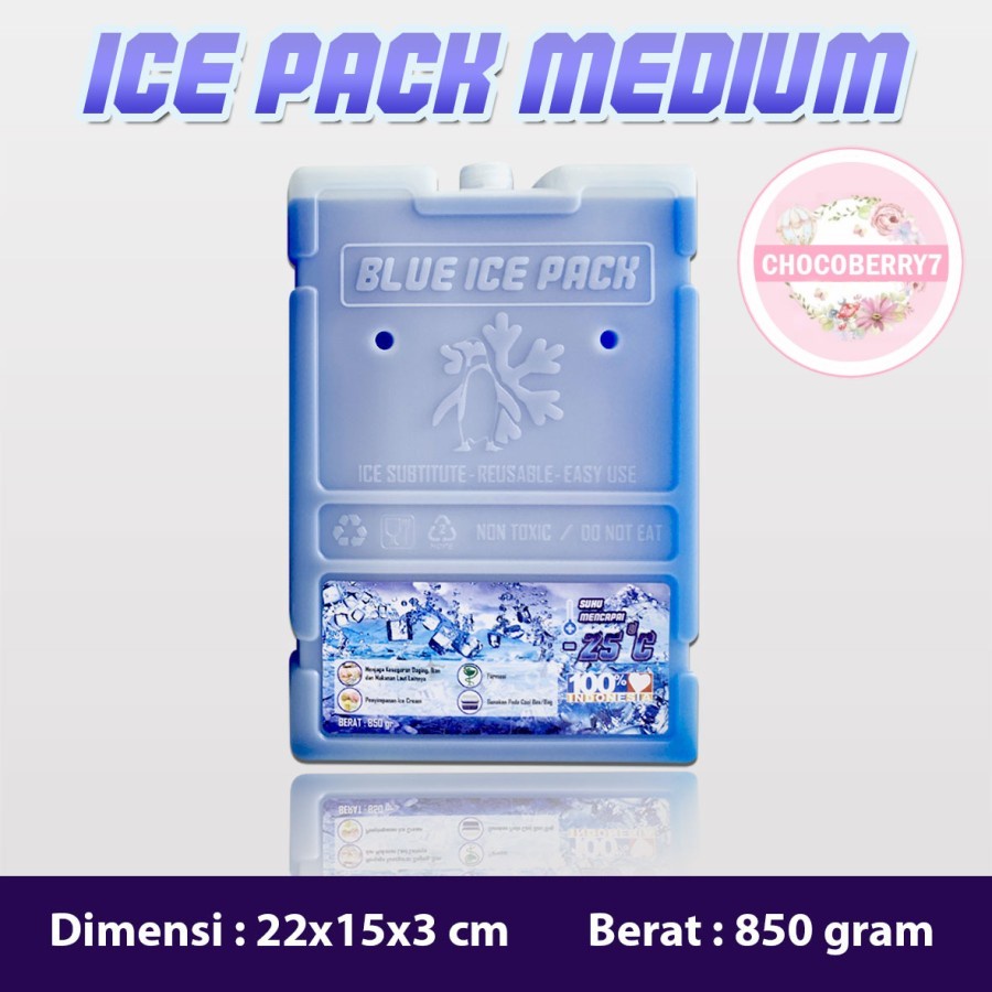 Ice Pack Sedang Blue Ice Pack Medium Reusable Pengganti Dry Ice