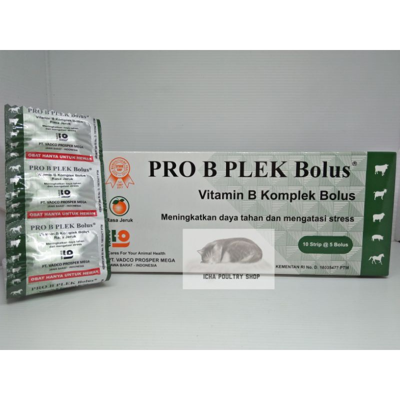 PRO B PLEK Bolus / VITAMIN B KOMPLEK RASA JERUK untuk HEWAN