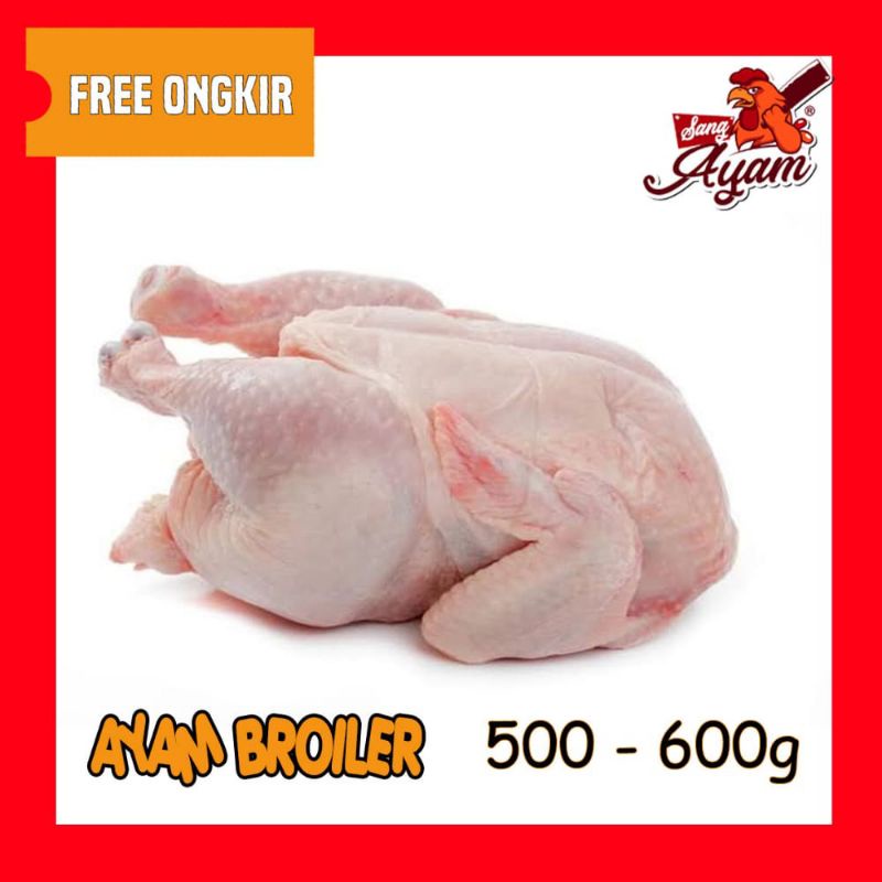 

karkas ayam fresh