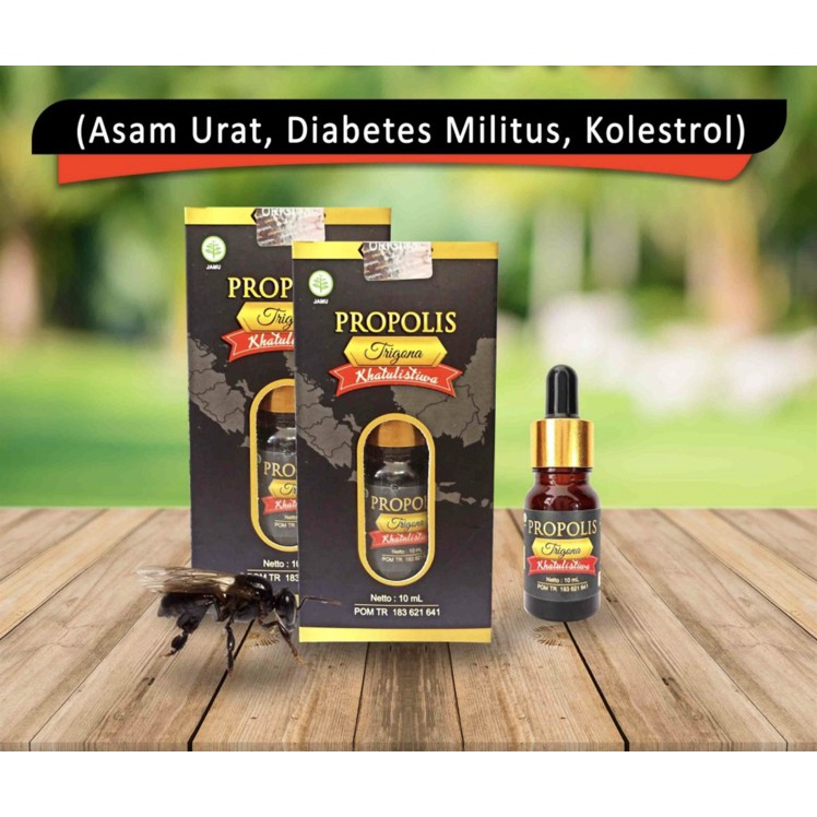 

Madu Propolis Trigona Khatulistiwa