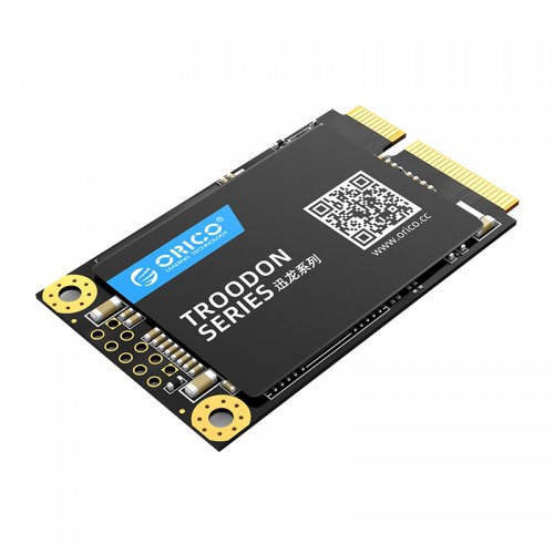 ORICO M200 mSATA SSD 256GB