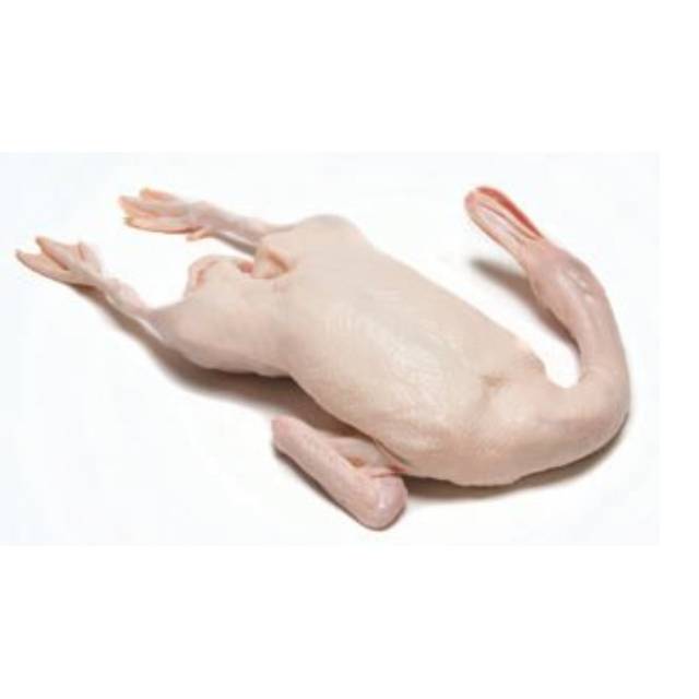 

Bebek Peking Duck 1100-1200 gram 1 ekor