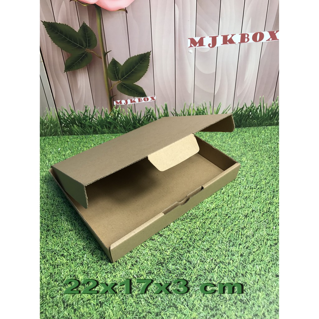 

Kotak kardus Uk. 22 x 17 x 3 cm.........Die Cut / Pizza
