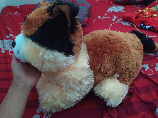 Boneka kucing size:XL