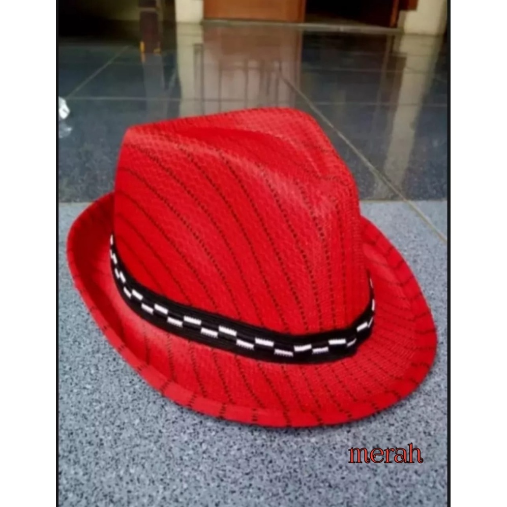 TOPI KOBOY FEDORA PRIA DAN WANITA KEKINIAN PALING TRENDY