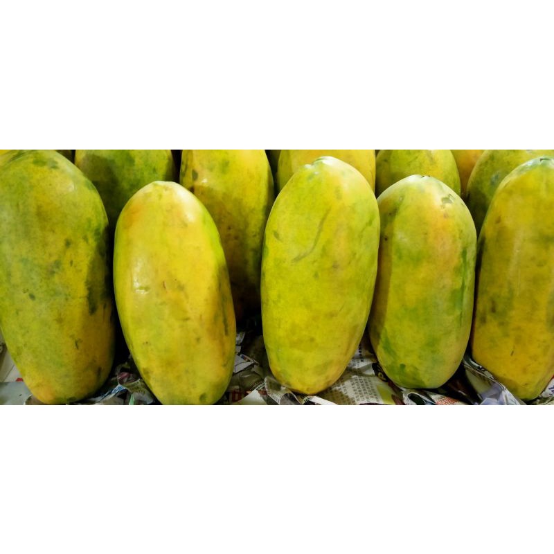 

Pepaya california _ 1kg
