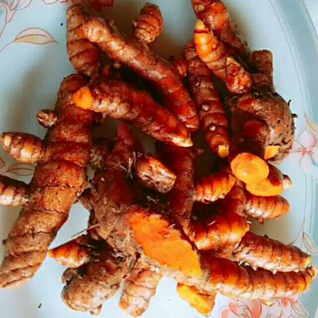 

Kunyit sayur organik fres 500 gr