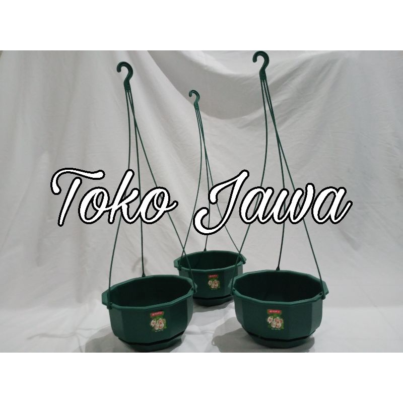 Pot Gantung lion star Gardenia Flower | Pot Gantung / Pot Bunga Tanaman WR Hijau