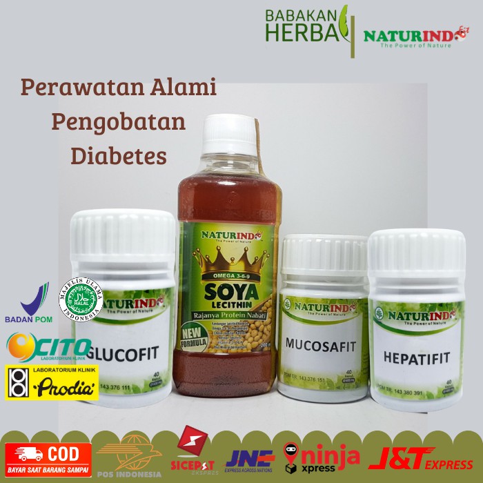 

Naturindo Obat Herbal Spesial Perawatan Diabetes Melitus Kencing Manis Cegah Komplikasi Herbal Alami