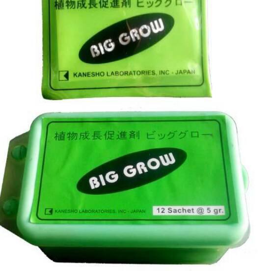 PROMO--> ( TERMURAH ) Big Grow 5gr - zpt hormon Gibberelic Acid 20% / ZPT Ga3 pembesar buah naga dll