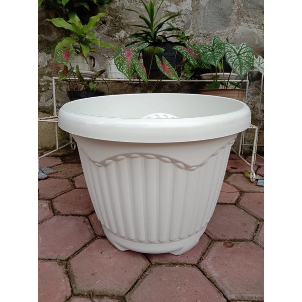 Pot Bunga Tanaman Mio Shallom Jumbo Ukuran 50 - Pot Besar JUMBO Ukuran 50