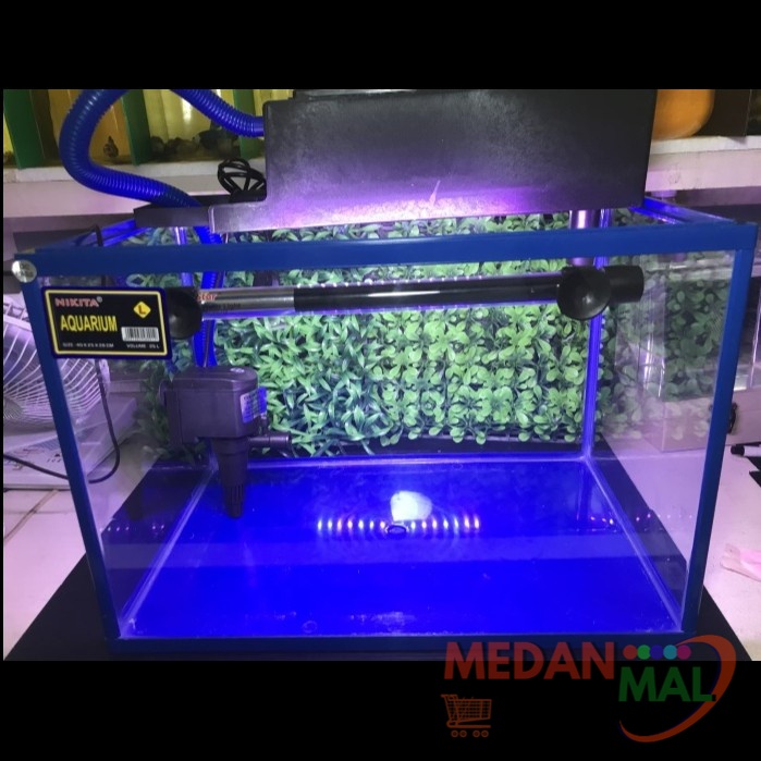 Paket Starter Aquarium Triset Nikita Size S/M/L